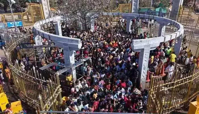 Telangana: RTC earns Rs 3.28 crore from Medaram fair