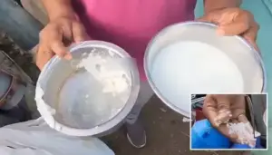 కల్తీ పాలలో యూరియా?