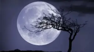 చంద్రుడిని మామ అని ఎందుకు అంటారో తెలుసా ?