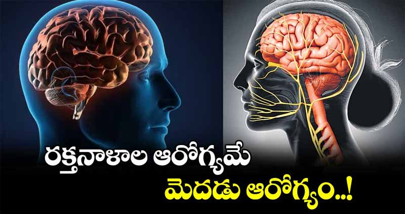Blood vessel health : హైదరాబాద్ లో జరిగిన ‘ఫ్లో – ది లాంజివిటీ డైలాగ్’ సదస్సు