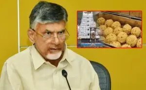 తిరుమల లడ్డూలో రసాయనాలు కలిపారు.. సీఎం చంద్రబాబు