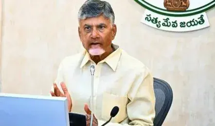 AP: Ban social media for children: CM Chandrababu