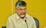 AP: టీడీపీ నేతలపై కేసులు నమోదు చేయాలని చంద్రబాబు ఆదేశం