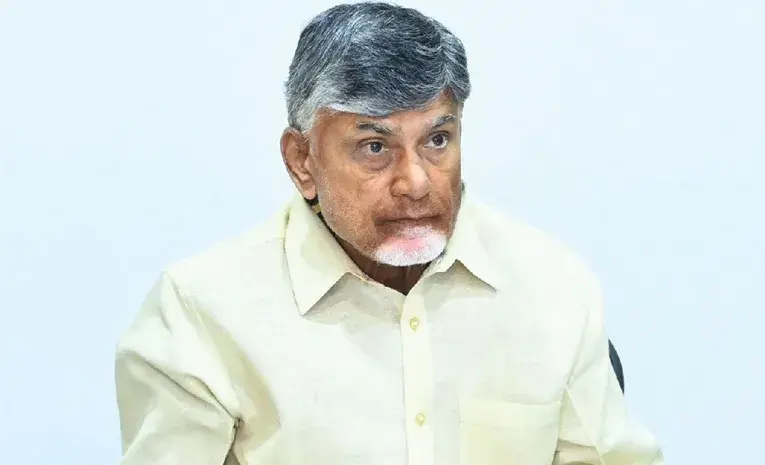 AP: టీడీపీ నేతలపై కేసులు నమోదు చేయాలని చంద్రబాబు ఆదేశం