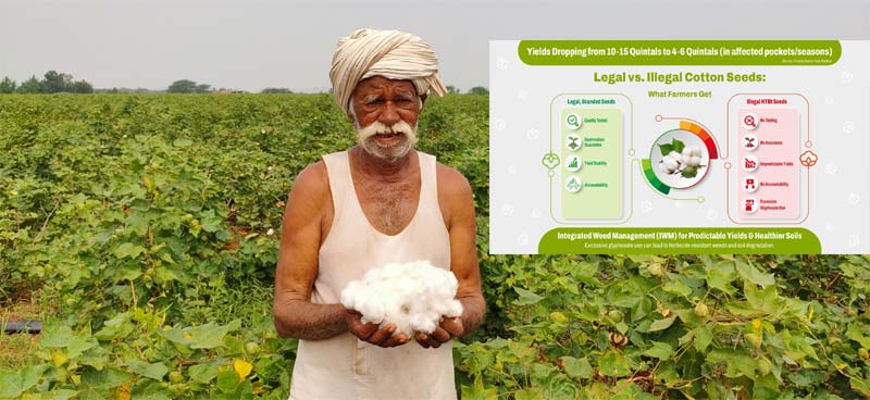 Cotton Farmer : రైతులు అప్రమత్తంగా ఉండాలంటున్న నిపుణులు