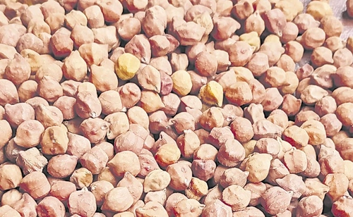 Andhra Pradesh: నేటి నుంచి శనగల కొనుగోళ్లు ప్రారంభం