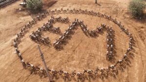 ఈ-మోటొరాడ్ గిన్నిస్ రికార్డ్ – కుప్పంలో భారీ స్థాయిలో ఎలక్ట్రిక్ సైకిళ్ల పంపిణీ