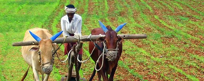 Shivraj Singh: The debt burden on farmers in Telugu states is high