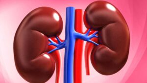 కిడ్నీలను కాపాడుకోవసిన బాధ్యత మీదే.. వైద్యుల సూచనలివే!