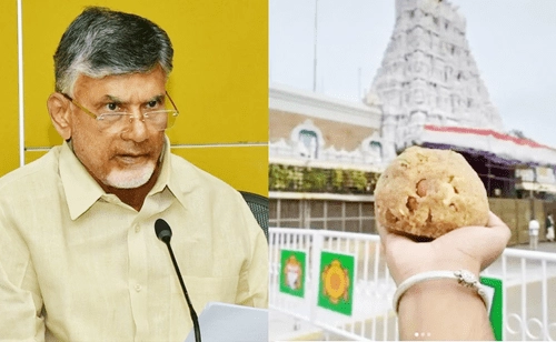Chandrababu Naidu: లడ్డూ కల్తీకి, హెరిటేజ్‌కు ఎలాంటి సంబంధం లేదు