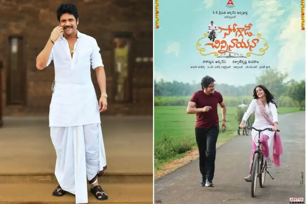 Nagarjuna: 2027 సంక్రాంతికి ‘సోగ్గాడే చిన్నినాయనా’ పార్ట్-3