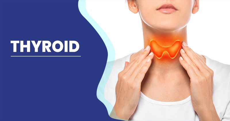 Thyroid : థైరాయిడ్ తో బాధపడుతున్నారా ? అయితే ఇది మీ కోసమే !!