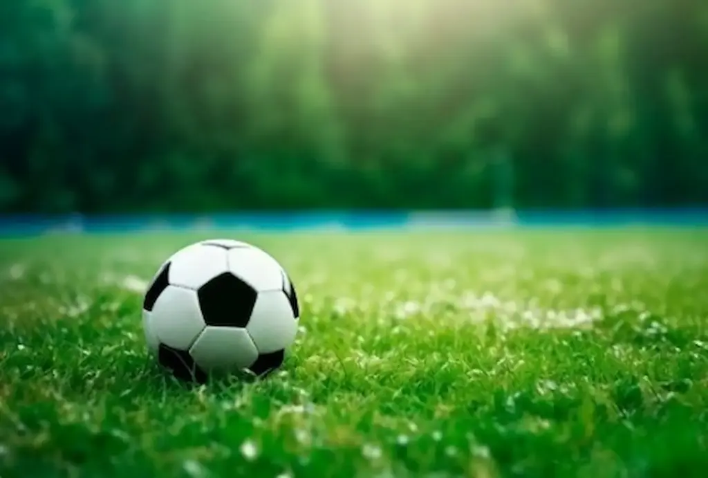 Sports: మొదటి స్థానంలో ఫుట్‌బాల్.. రెండో స్థానంలో క్రికెట్