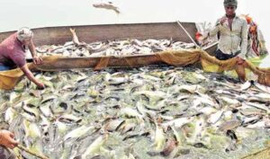 మత్స్యకారుల్లో ఆనందం నింపిన బడ్జెట్