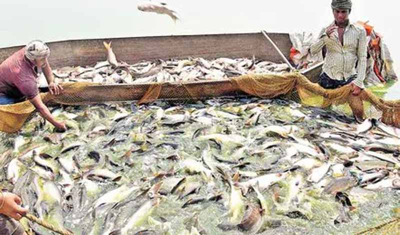 Union Budget 2026-27 : మత్స్యకారుల్లో ఆనందం నింపిన బడ్జెట్