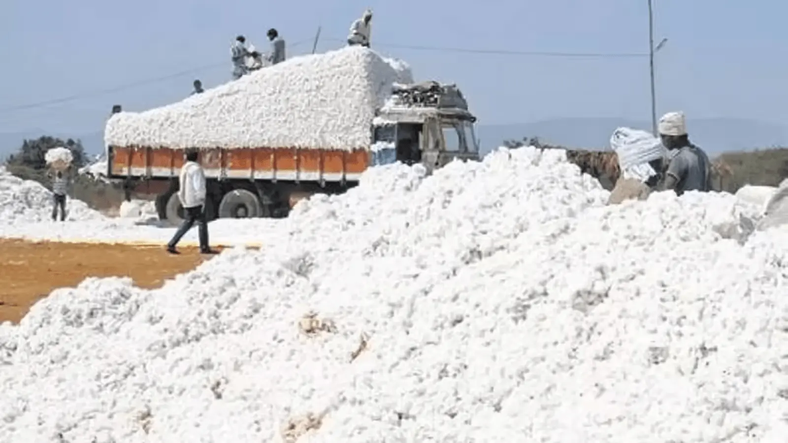 ఈ నెలాఖరు వరకు సీసీఐ పత్తి కొనుగోలు కేంద్రాలు