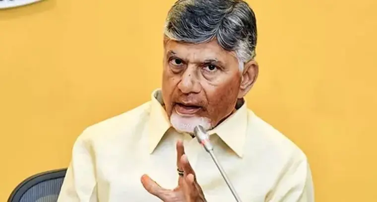 AP: తిరుమల లడ్డూలో రసాయనాలు కలిపారు.. సీఎం చంద్రబాబు