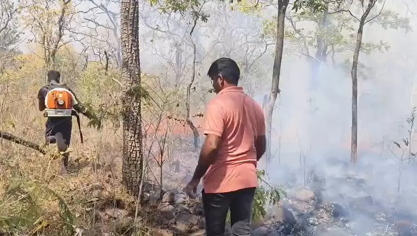 Nallamala Forest Fire: నల్లమల అడవిలో భారీ అగ్నిప్రమాదం