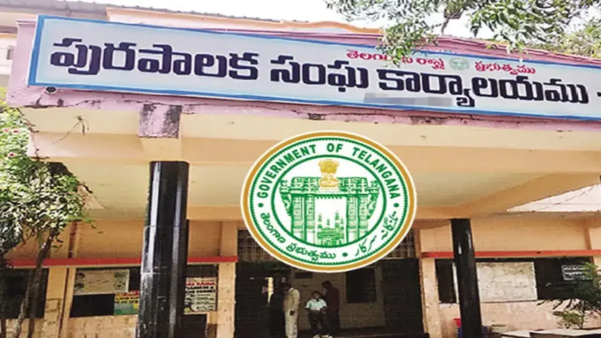 మున్సిపల్ ఎన్నికల బరిలో మహిళలే అధికం