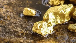 ఏపీలో ఖరీదైన అరుదైన ఖనిజాలు గుర్తింపు