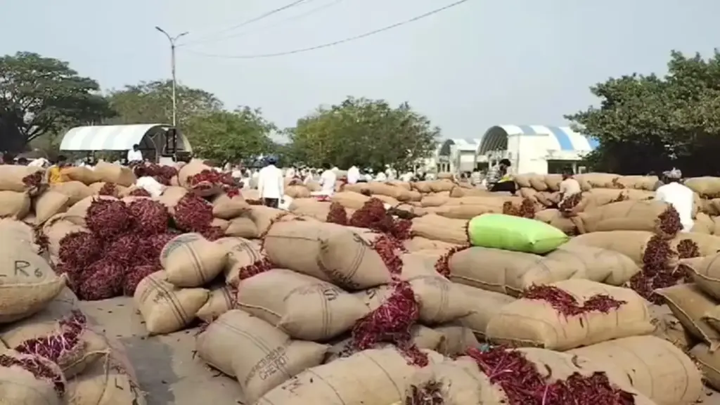Telangana Chili Prices: ఈ యేడాది మిర్చి రైతులకు సంతోషం
