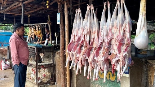 Authorities raid shop selling rotten meat