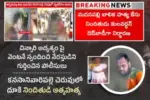 Madanapalle Case: నిందితుల గుండెల్లో చంద్రబాబు భయం.. టీడీపీ సంచలన పోస్ట్!