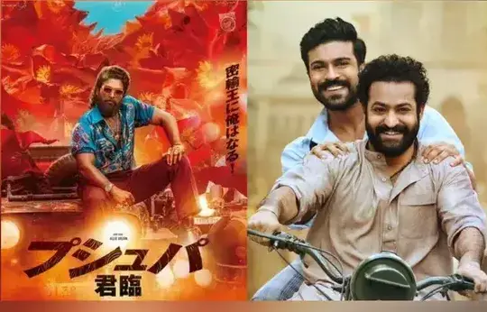 జపాన్‌లోనూ పుష్ప 2 బాక్సాఫీస్ రికార్డులు