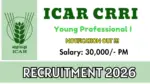 Jobs notification: ICAR-CRRI లో యంగ్ ప్రొఫెషనల్ ఉద్యోగాలు