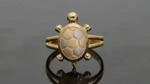 ఆర్థిక శుభఫలితాల కోసం తాబేలు ఉంగరం