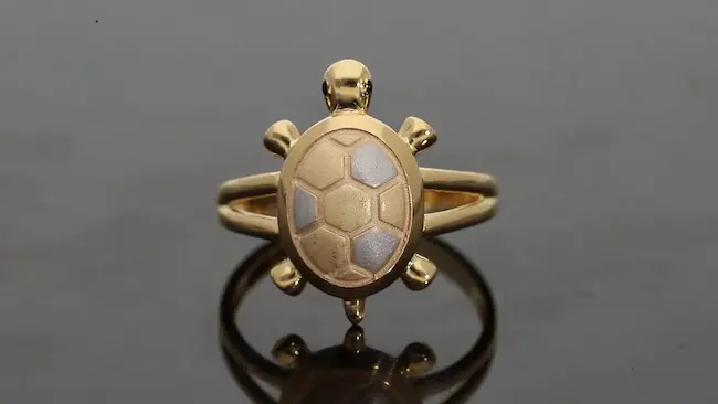 Wealth Tips: ఆర్థిక శుభఫలితాల కోసం తాబేలు ఉంగరం