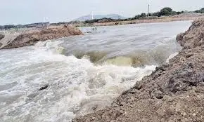 SE Raja Swaroop: The target is to bring 50 TMC by March 10