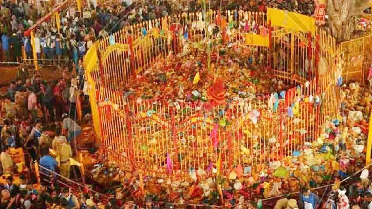 Telangana: RTC records record collection at Medaram fair: Rs. 20.24 crores in revenue