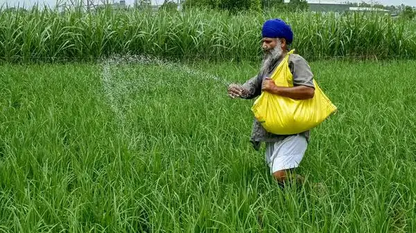 Telangana Agriculture News: 'Fertilizer' is magic!