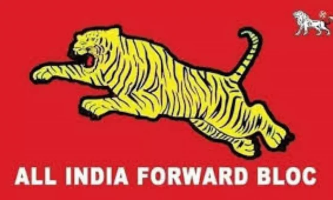 TGMunicipal Elections Results