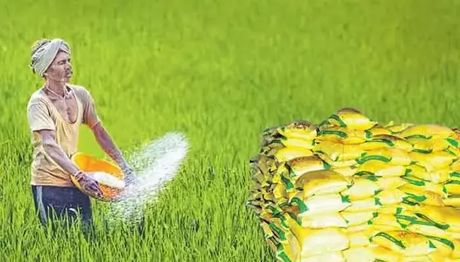 Telangana: యాప్‌తో అసలైన రైతులకే యూరియా: వ్యవసాయశాఖ