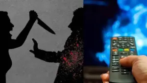 టీవీ సౌండ్ గొడవ.. భర్తను చంపిన భార్య