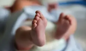 కుళ్లిపోయిన స్థితిలో పసికందు మృతదేహం లభ్యం