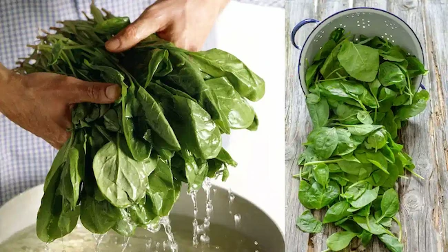 Heart Treatment: పాలకూర ఆకులతో గుండె కణజాలం అభివృద్ధి