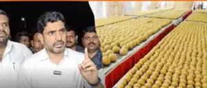 అసెంబ్లీలో లడ్డూ కల్తీ వాస్తవాలు వెల్లడిస్తాం: నారా లోకేశ్