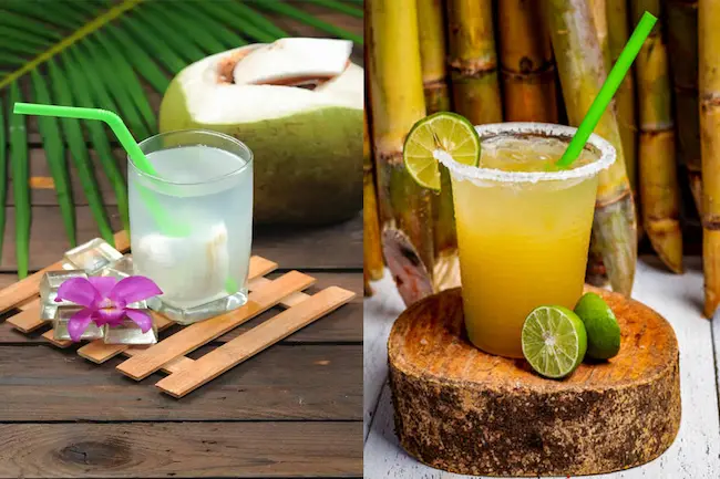 Coconut Water vs Sugarcane