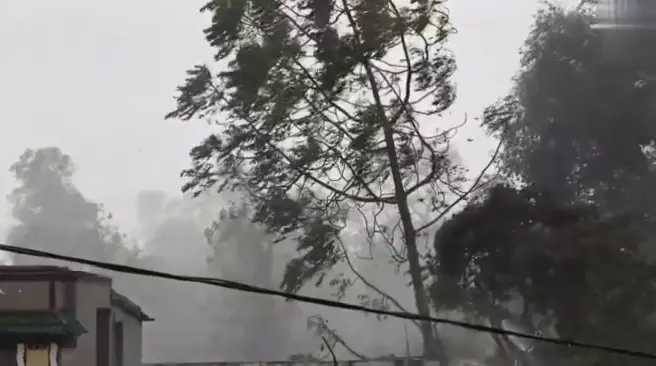 Heavyrains in Telugu states