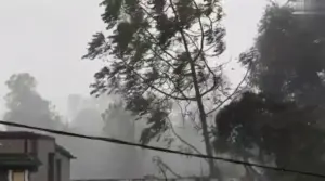 దంచికొడుతున్న వర్షం