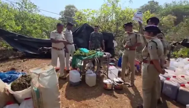 ఏపీ – ఒడిశా సరిహద్దులో భారీ గంజాయి వేట