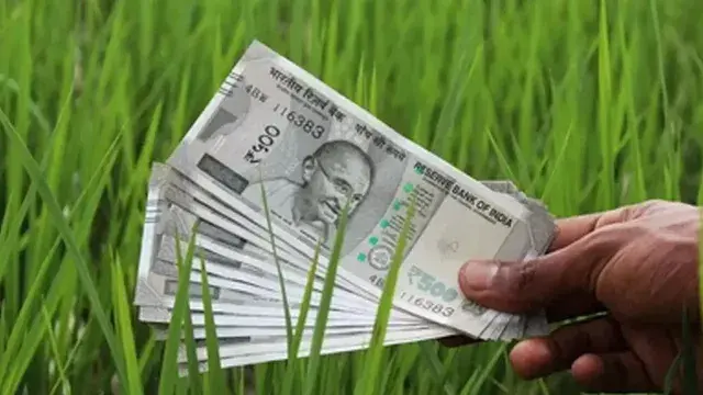 PM Kisan AP Updates: పీఎం కిసాన్, పంట బీమా డబ్బుల అప్లై‌కి ముగుస్తున్న గడువు