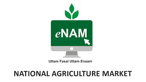 Nizamabad: Isn't this all the trouble with e-NAM?