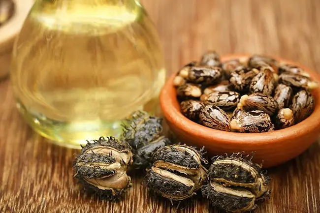 Castor Oil: