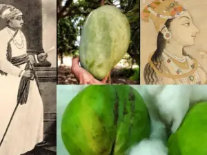 ఒక్క మామిడి పండు ధర రూ. 12 వేలు..