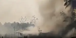 పేలుడు ఘటనలో 20కి చేరిన మృతి సంఖ్య