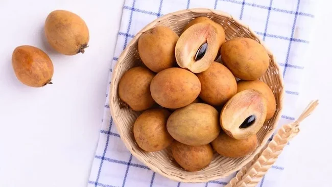 Health Tips: ప్రతి రోజూ సపోటా తినడం ఎందుకు అవసరం?